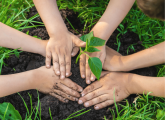 Climate change in Early Years – Why and how to teach it Climate change in Early Years – Why and how to teach it