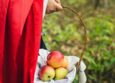 Traditional tales EYFS – What kids can learn from them Traditional tales EYFS – What kids can learn from them