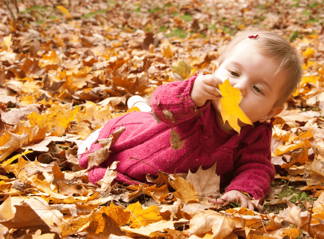 Forest school activities for babies – Why they’re so beneficial